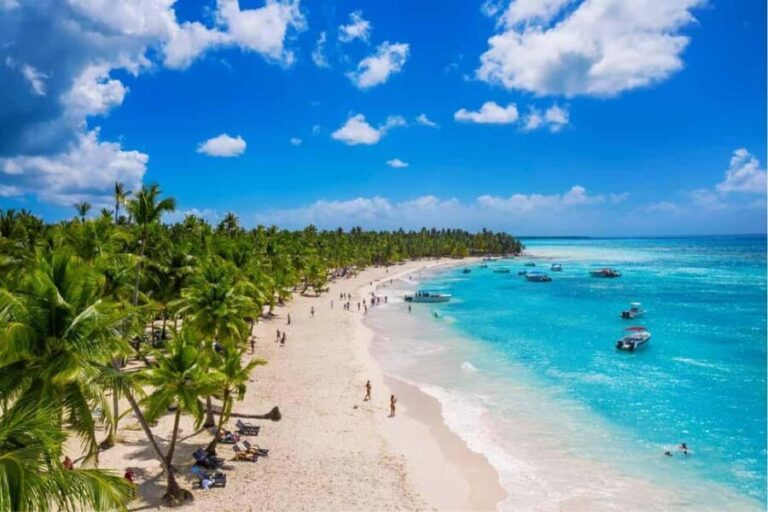 Santo Domingo: Saona Island Day Trip with Lunch and Drinks - Key Points