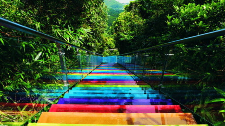 Sanya: Yalong Bay Tropical Forest Ticket and Tour Car - The Heart of the Experience: Trails, Views, and Adventure