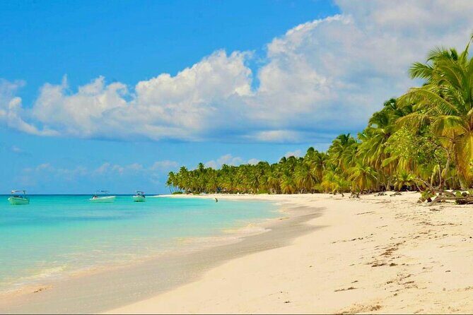 Saona Island Adventure: Natural Pool & All-Inclusive Drinks - Who Is This Tour Best For?