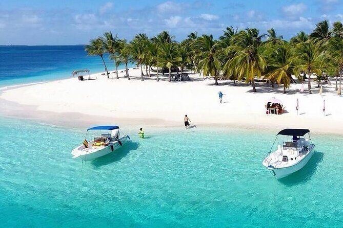 Saona Island Day Trip with Lunch, Transportation and Drinks - What’s Included and What’s Not