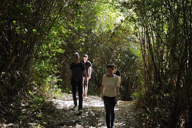 scooter and hiking trip in the rainforest - Who Will Love This Tour?