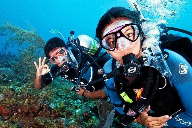 Scuba Diving on Catalina Island | 2 tanks, 2 spots - Final Thoughts