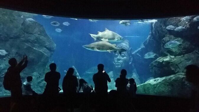 SEA LIFE Ocean World at Bangkok Admission Ticket - Who Should Visit?