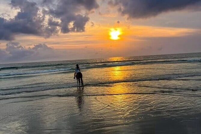 Seminyak Horse back riding In the beach - The Real Deal: Insights from Guests