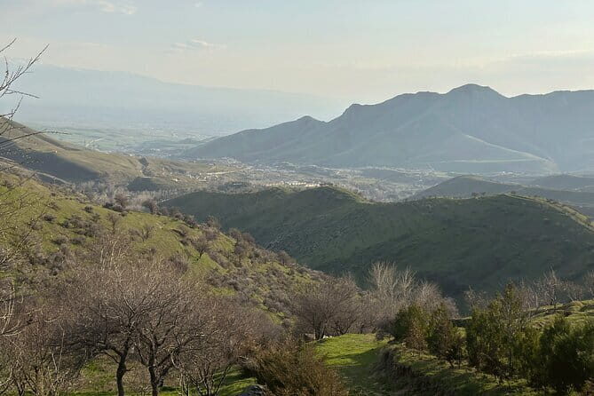 Shakhrisabz Private Day Tour from Samarkand - What Makes This Tour Stand Out?