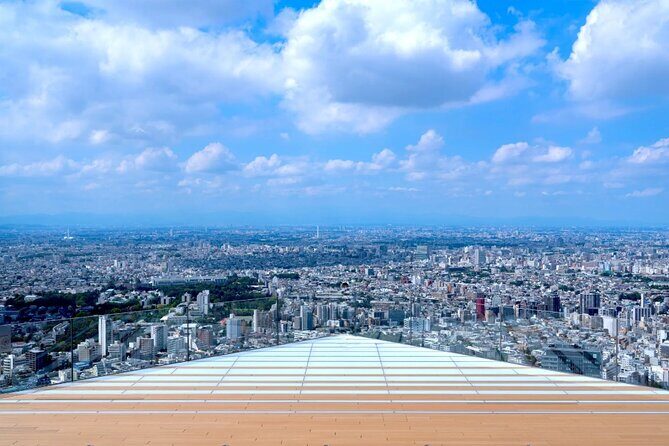 Shibuya Highlights Hachiko Scramble Meiji Jingu and Sky - Who Would Love This Tour?