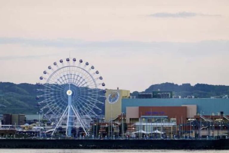 Shimizu, Shizuoka: Private Custom Tour with a Local Guide - Detailed Breakdown of the Experience