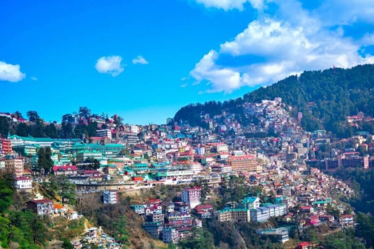 Shimla: Experience the Best of Shimla with a Local Guide - Who Will Love This Tour?