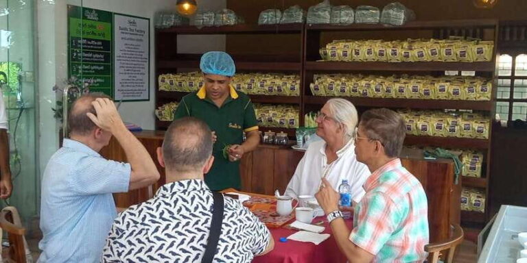Shore Excursion Colombo Highlight Tour from Passenger Pier. - Who Will Find This Tour Most Valuable?