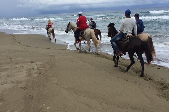 Short Excursion horseback riding tours on the beach and mountain - Practical Details That Matter