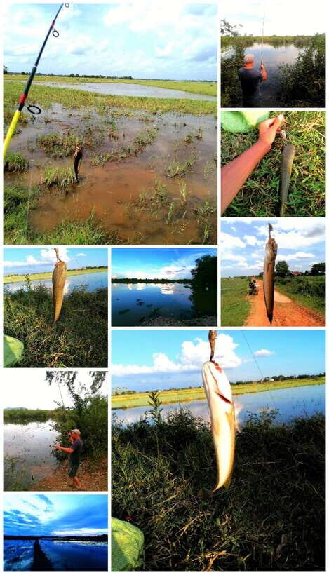 Siem Reap: Fishing in the rice fields, in the villages of Siem Reap - Who Will Love This Experience?