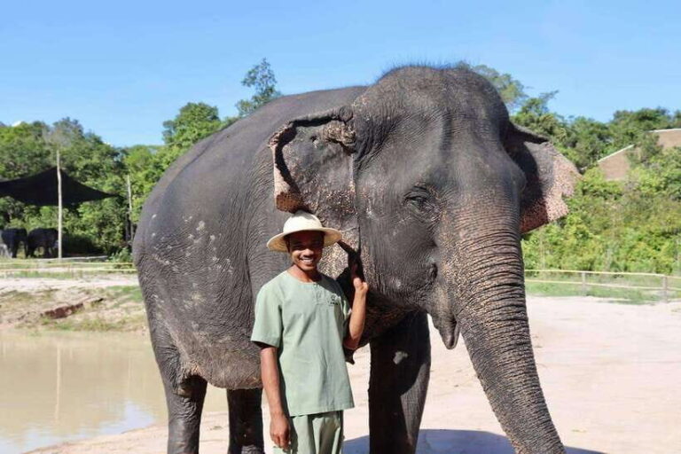 Siem Reap: Small Group Tour of Kulen Elephant Forest - What Makes This Tour Stand Out?