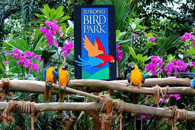 Singapore Bird Paradise & Zoo Full Day (Ticket & Transfer ) - How It Fits in Your Travel Plans