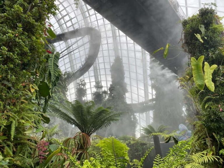 Singapore: Private Customized Tour with transportation - Who Would Love This Tour?