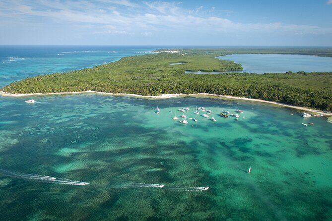 Small Group Punta Cana Snorkeling with Premium Open Bar - Who Will Love This Tour?