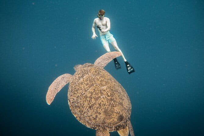 Snorkeling 3 Spots with GoPro & West Coast Tour Nusa Penida - Authentic Experiences from Other Travelers