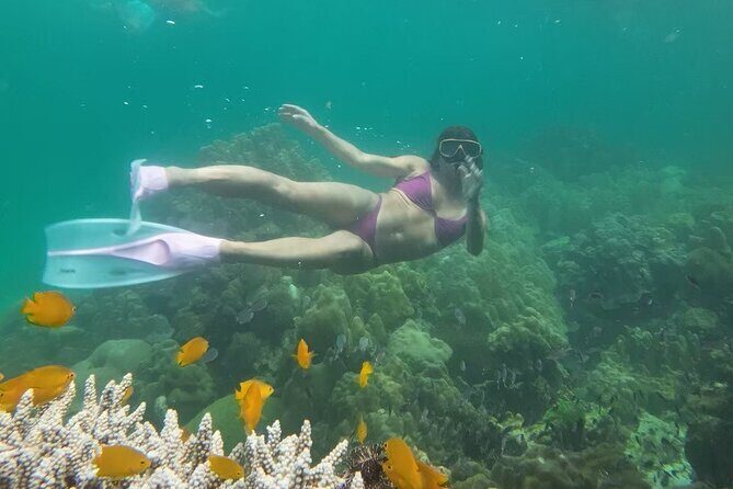 Snorkeling + Free Underwater Photos by Longtail Boat Koh Lipe A - The Experience of Snorkeling with a Local Captain