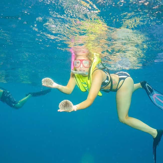 Snorkeling in Montego Bay with Transportation - Why This Tour Offers Good Value