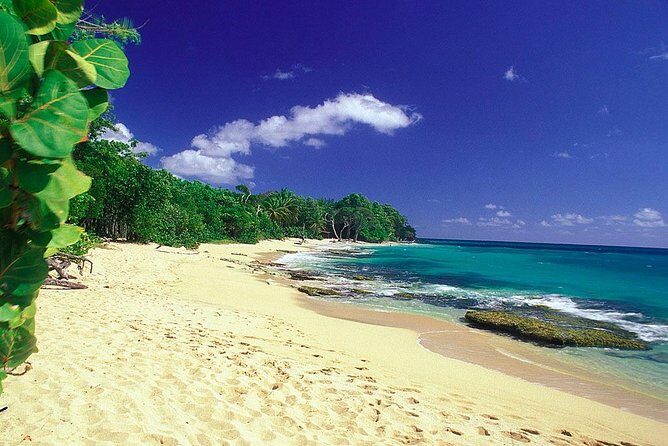 South Caribbean Tour in Martinique - Frequently Asked Questions