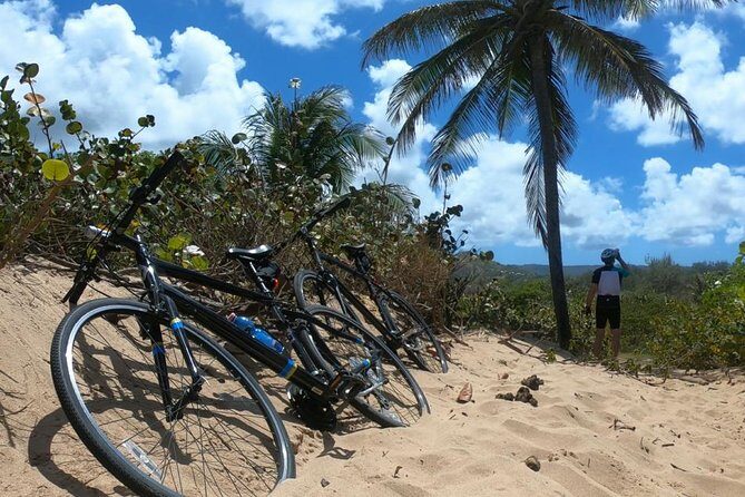 South East Sunrise (or later) E-Bike Tour - Itinerary Breakdown: What to Expect