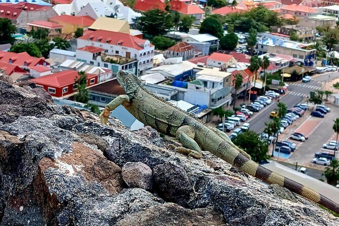 St. Maarten/Saint Martin Island Tour - Fort Amsterdam: A Dose of History and Nature