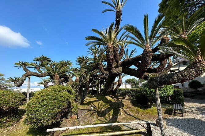 Step-Free Easy going tour from Shimizu Port / Van Taxi - Who Should Consider This Tour?