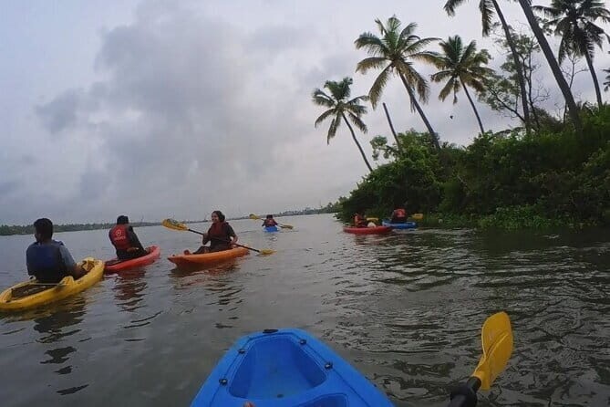 Sunset Kayaking in Hidden Alleppey Backwater Routes - The Sum Up: Who Is This Tour Best For?