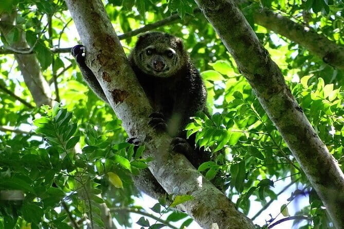 Tangkoko Bitung Manado Nature Tourism Park includes lunch. - Cost and Value: Is It Worth It?