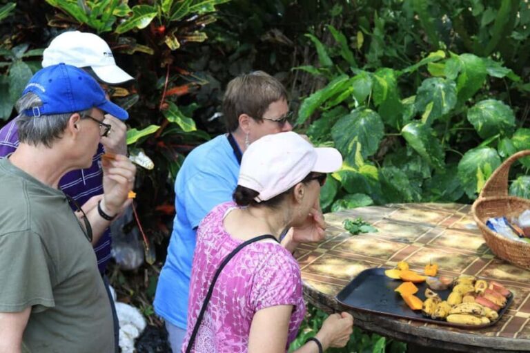 Taste of Jamaica Farm & Food Tour - Authenticity and Value for Money