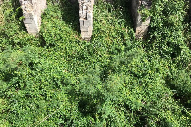 The Brimstone Hill Fortress Hike - What Travelers Are Saying