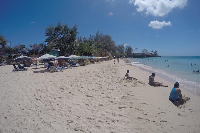 Tobago Island Tour - What Makes This Tour Stand Out?