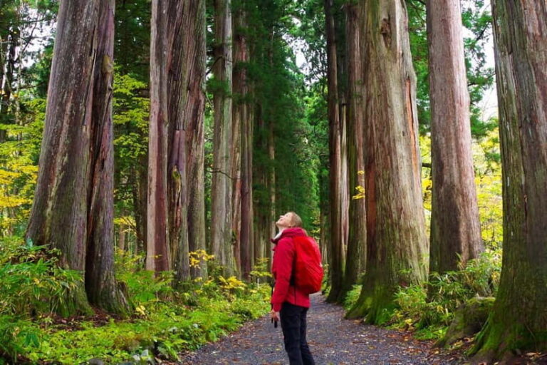 Togakushi: Sacred Forest Walk & Soba Traditions - Key Points