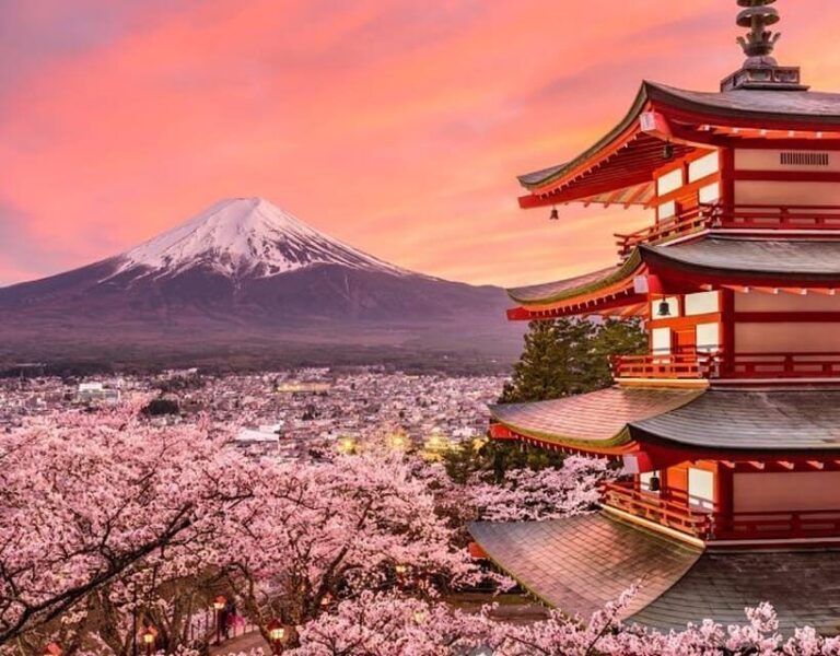 Tokyo: Mount Fuji Full day Private Sightseeing Guided tour - Exploring the Itinerary in Detail