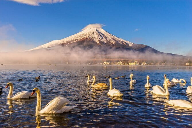 Tokyo Mt Fuji Kawaguchi and Yamanaka Onsen Tour with Pick up - Why This Tour Offers Good Value