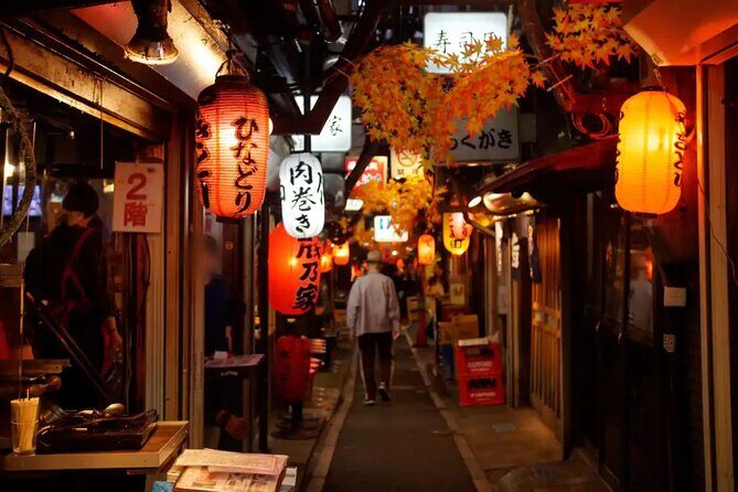 Tokyo Shinjuku Food Tour 16 Dishes and 4 Eateries - Visiting Omoide Yokocho and Kabukicho: Why They Matter