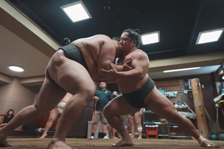 Tokyo: Sumo Keiko Training Tour with Audio Guide & Photo - The Itinerary and Logistics