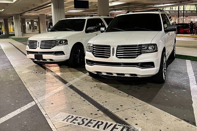 Transfer TO or FROM: Airport,Cruise,Hotel in DORADO or RIO GRANDE - Who Should Consider This Transfer Service?