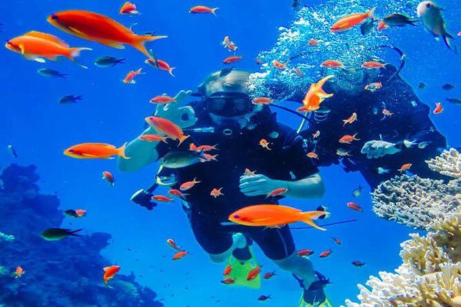 Try Scuba Diving In Havlock - Practical Considerations