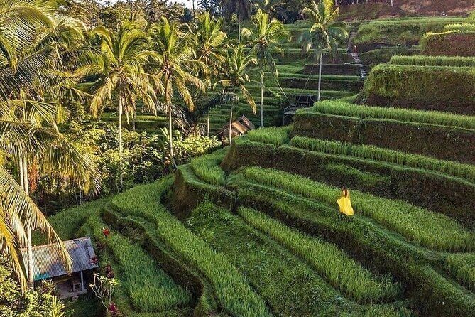 Ubud Hidden Waterfalls and Rice Terrace Tours - Things to Keep in Mind