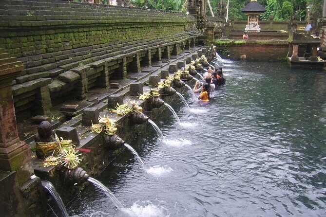 Ubud Tour : Monkey forest, Rice terrace, Water temple, Waterfall & Jungle Swing - Who Will Enjoy This Tour?