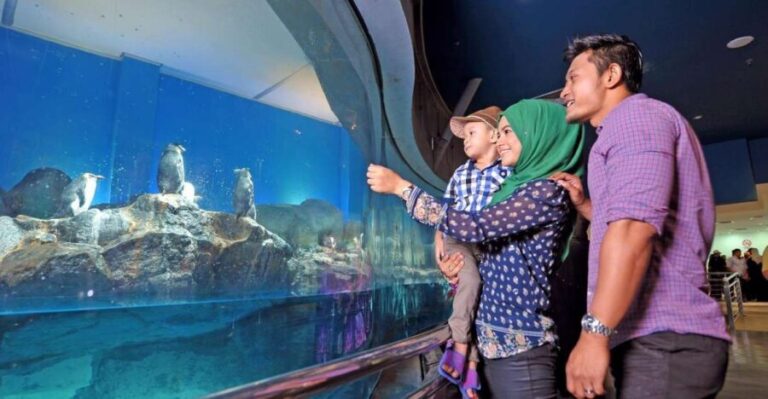 Underwater World Langkawi Admission Ticket - Summing Up