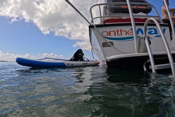 Vieques All-Inclusive: Swim with Turtles & Enjoy Pristine Beaches - Who Should Consider This Tour?