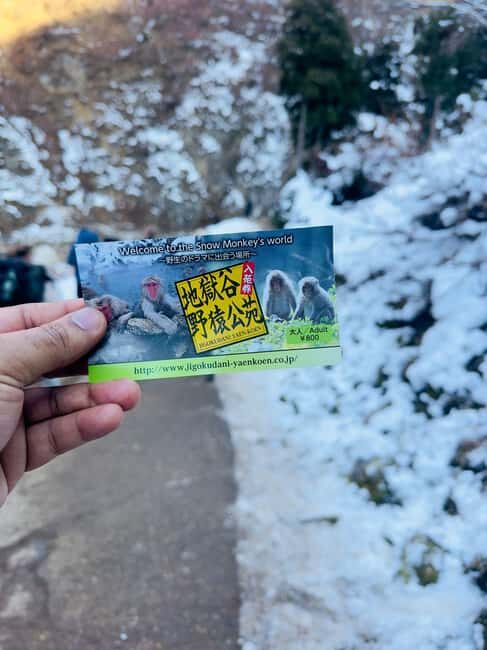 VIP Snow Monkey Park & Zenkoji Temple One Day Private Tour - Who Will Love This Tour?