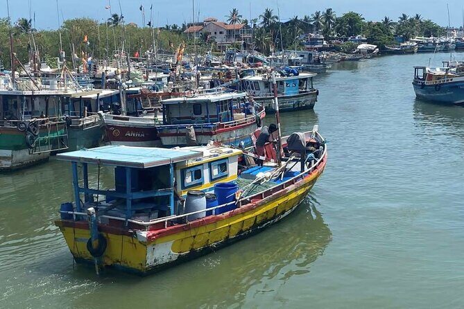 Visit Negombo by Scooty - All Inclusive - The Bottom Line