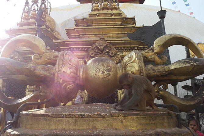 Walking tour of Kathmandu with awesome local guides - Who Should Book This Tour?