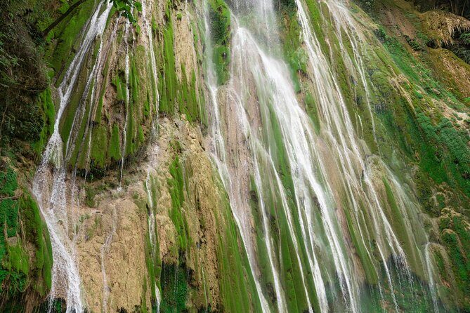 Whale Watching, Cayo Levantado and Limón Waterfall in Samaná - Who Should Consider This Tour?