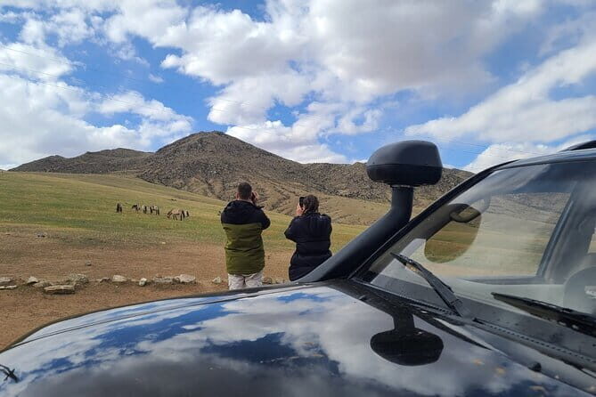 Wildlife Watching Day Tour at Hustai National Park - An In-Depth Look at the Hustai National Park Wildlife Tour