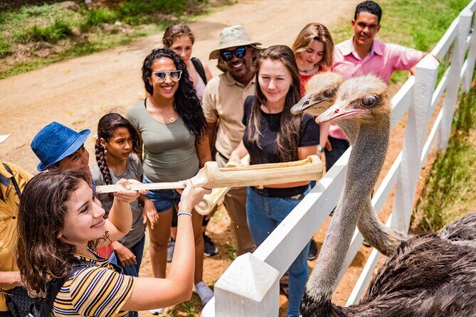 Xploration Animal Encounters Half Day Tour from Punta Cana - Does It Offer Good Value?